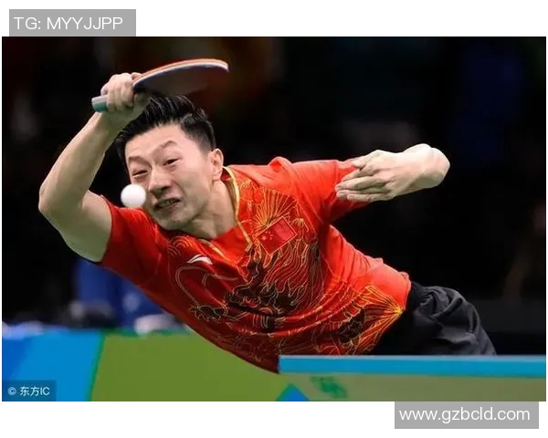 西安网球队快攻战术解析与深度剖析网球竞技的魅力与挑战实时数据